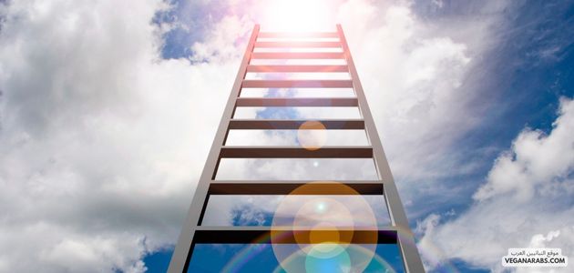 تأثير النباتية على تعزيز السلم الاجتماعي والسلام في الشرق الأوسط
