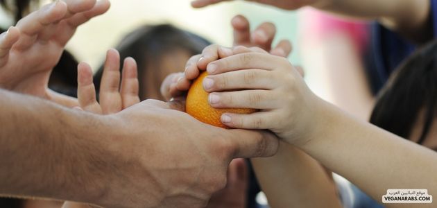 تأثير النباتية على تقليل الفقر وتعزيز الشمولية الاجتماعية في الشرق الأوسط