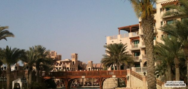 تحفيز الحكومات على تبني سياسات داعمة للنباتية في الشرق الأوسط