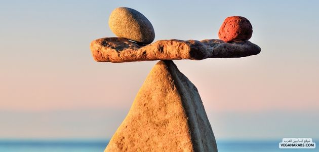 كل ما يحتاجه الشخص لمعرفة النباتية وكيفية تلبية احتياجاته الغذائية بشكل متوازن
