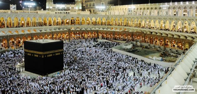 ما هي أهم الاحتياطات الأمنية التي يجب على الحجاج اتخاذها؟ What are the most important security precautions that pilgrims should take
