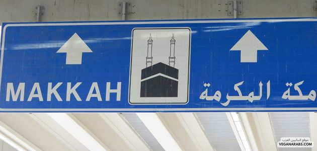 ما هي الأحكام الشرعية المتعلقة بالحج للمرضى وكبار السن؟