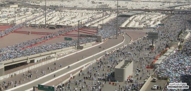 ترتيب مناسك الحج