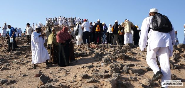 كيفية أداء الحج