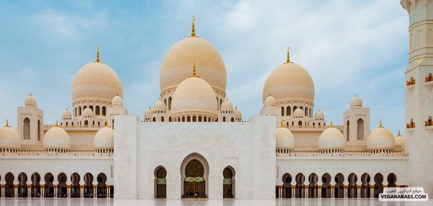 كيفية تشجيع المؤسسات الحكومية على تطبيق سياسات داعمة للنباتية في الشرق الأوسط