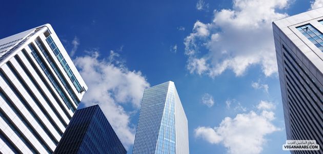 تحفيز الشركات على استخدام الطاقة النظيفة والمتجددة في إنتاج وتوزيع المنتجات النباتية في الشرق الأوسط