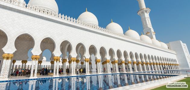 كيفية تشجيع السلطات المحلية على تبني سياسات داعمة للنباتية في الشرق الأوسط