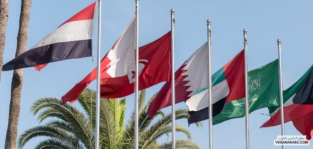 تحفيز الشركات على تبني مبادرات داعمة للنباتية في الشرق الأوسط