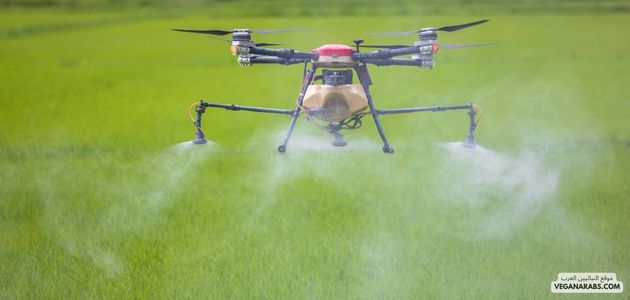 استخدام التقنيات الحديثة في تنمية المنتجات النباتية الجديدة في الشرق الأوسط