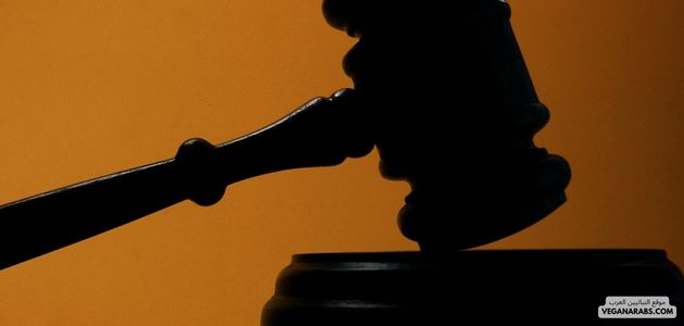 تأثير النباتية على تحقيق العدالة الاجتماعية والمساواة في الشرق الأوسط