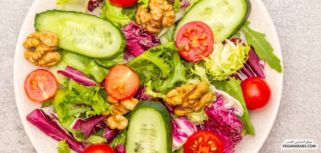 كل ما يحتاجه الشخص لمعرفة النباتية وتأثيرها على الصحة