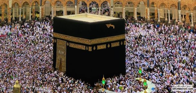 1. سؤال: ماذا يعني الجماع خلال العمرة وما هي عواقبه؟ جواب: الجماع خلال العمرة يعني القيام بالجماع الجنسي قبل أداء طواف العمرة بالكعبة، وهذا يُعتبر من نواقض العمرة، حيث يجب على المعتمر إعادة العمرة بعد ذلك. 2. سؤال: ما هو التجريح بالحرم وما هي عواقبه؟ جواب: التجريح بالحرم يعني قصد الجرح أو التعرض للإصابة داخل الحرم، وهو يُعتبر من نواقض العمرة، حيث يلزم المعتمر إعادة العمرة بعد ذلك. 3. سؤال: هل يمكن للمعتمر التوبة بعد وقوعه في نواقض العمرة؟ جواب: نعم، يمكن للمعتمر التوبة والاستغفار إذا وقع في نواقض العمرة، ولكن يجب عليه أيضًا إعادة العمرة بعد ذلك لتصحيح الأمور. 4. سؤال: ما هي الحالات التي يُعتبر فيها الخروج من الإحرام من نواقض العمرة؟ جواب: يُعتبر الخروج من الإحرام من نواقض العمرة إذا خرج المعتمر من حالة الإحرام قبل أداء جميع مناسك العمرة، ويجب عليه إعادة العمرة بعد ذلك. 5. سؤال: ما هي الوسائل التي يمكن للمعتمر اتخاذها لتجنب وقوعه في نواقض العمرة؟ جواب: يمكن للمعتمر تجنب وقوعه في نواقض العمرة من خلال الالتزام بالأحكام والتوجيهات الشرعية، والتأكد من فهم شروط العمرة بشكل جيد قبل الشروع فيها، والابتعاد عن الأعمال التي قد تؤدي إلى نقضها.