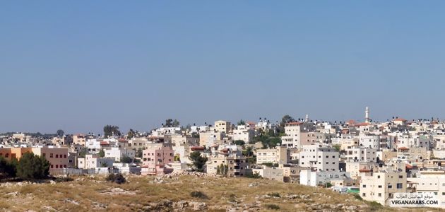 هل هناك دراسات محددة تشير إلى فوائد النباتية على الصحة في المنطقة؟