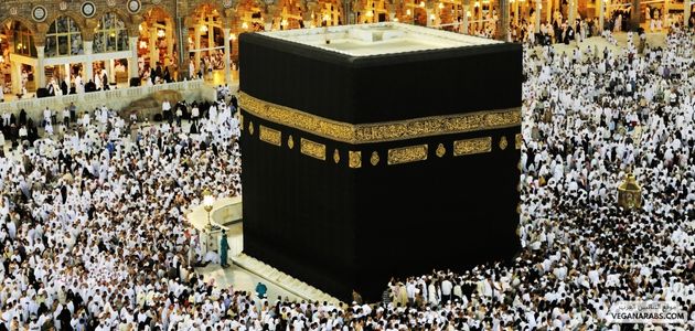 ترتيب مناسك الحج: دليل شامل The Order of Hajj Rituals: A Comprehensive Guide