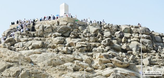  كم عدد أيام الحج؟