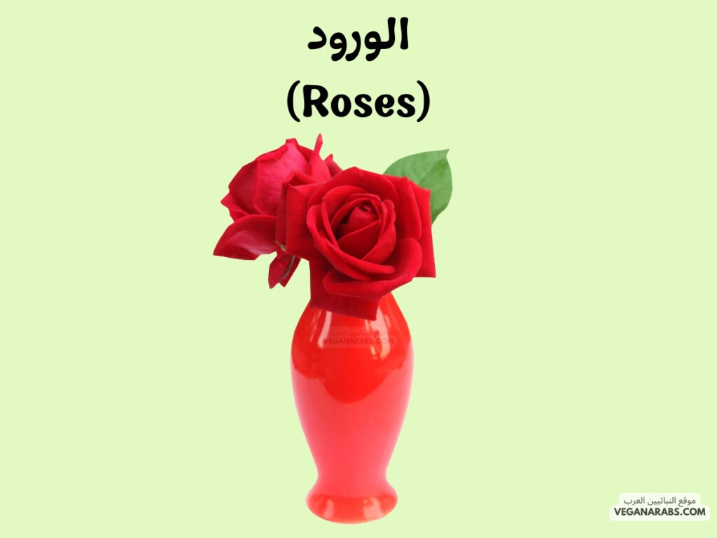 1. الورود (Roses)