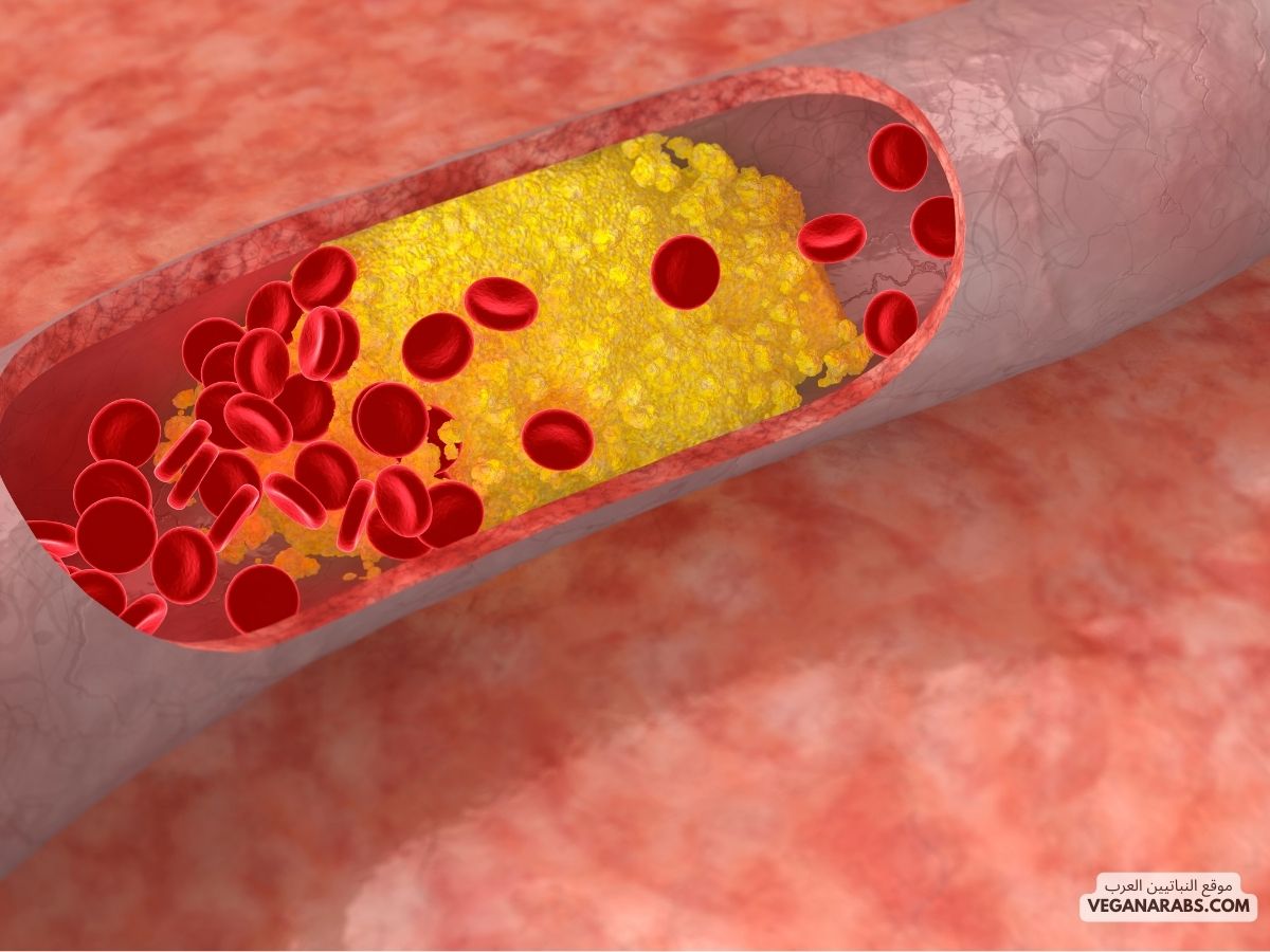 أفضل 7 نظم غذائية لخفض الكولسترول: كيف تحسن صحتك القلبية بطريقة لذيذة!