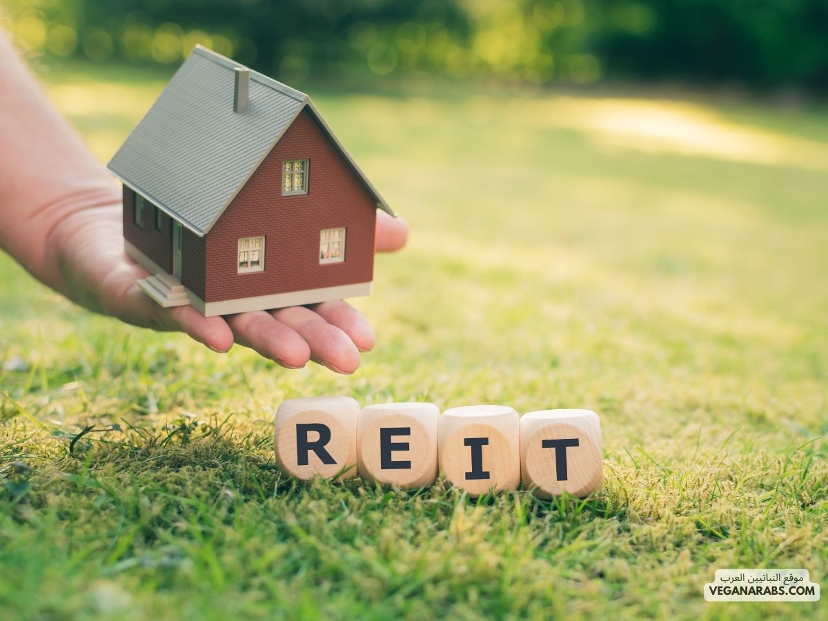 كيف تستثمر بذكاء في صناديق REITs؟ أفضل الاستراتيجيات لتحقيق النجاح!