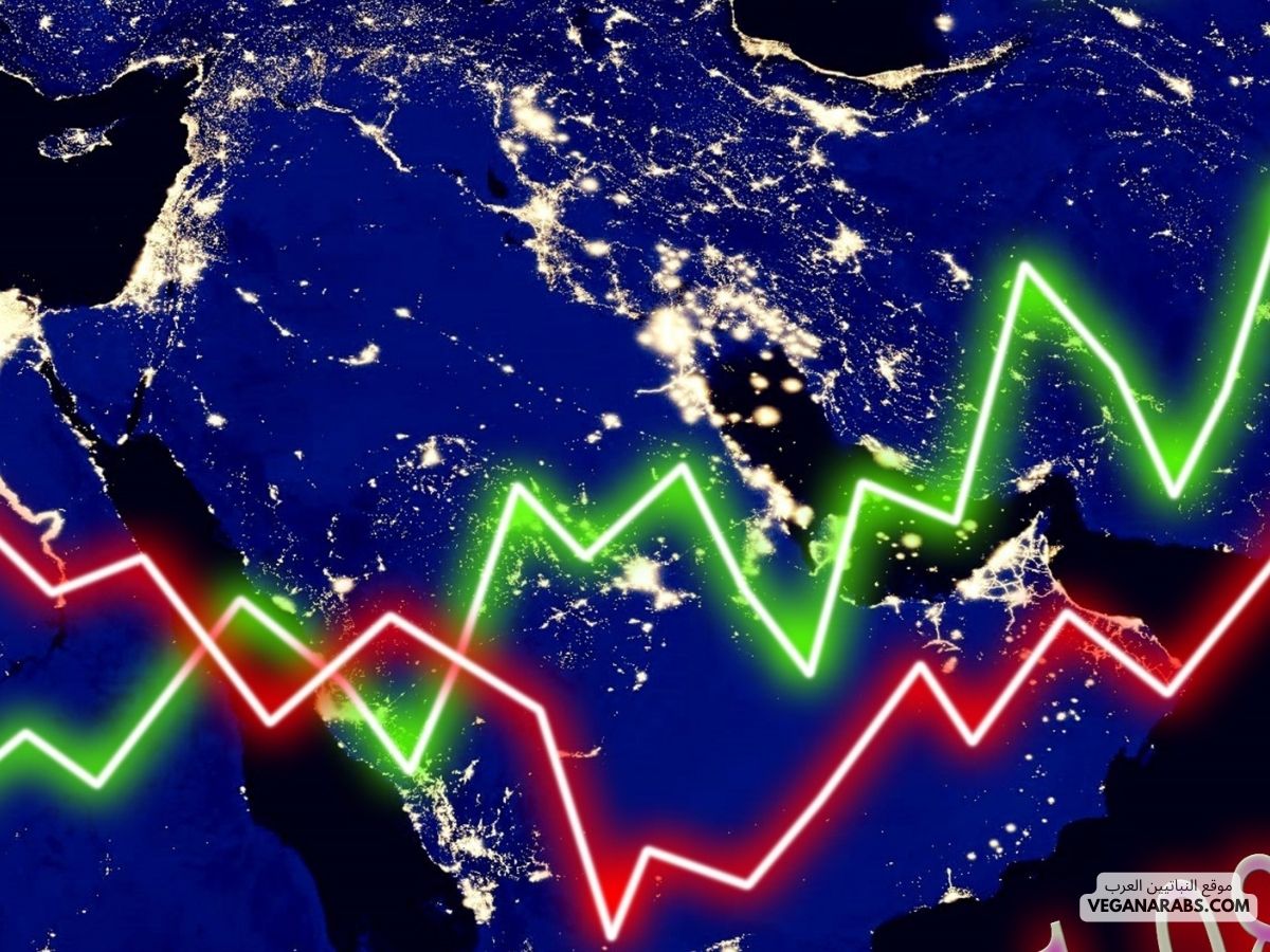 أساسيات استثمار الأموال في الأسهم والسندات: دليلك الشامل لتحقيق الأرباح!