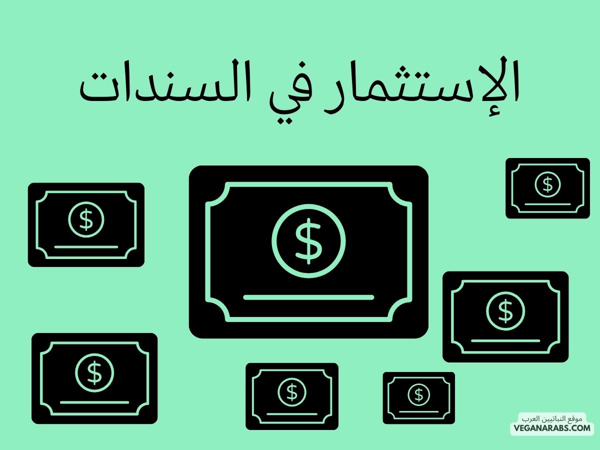 دليلك الشامل للاستثمار في السندات والأوراق المالية الدولية: كيفية تحقيق أقصى العوائد!