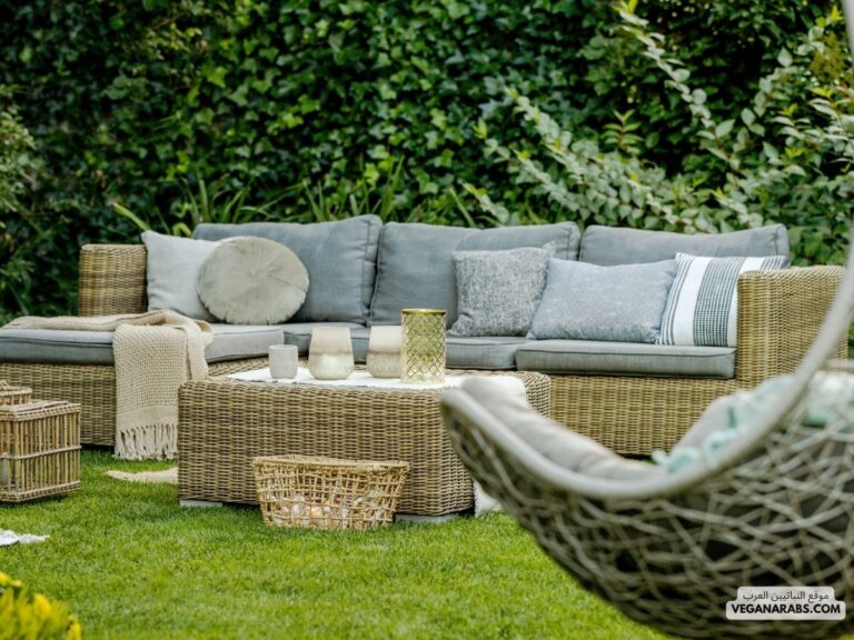 هل تريد تصميم فناء خلفي جميل؟ إذا كنت تبحث عن تحويل الفناء الخلفي الخاص بك إلى مساحة هادئة ومريحة، فإليك بعض النصائح والتوجيهات لتحقيق ذلك: