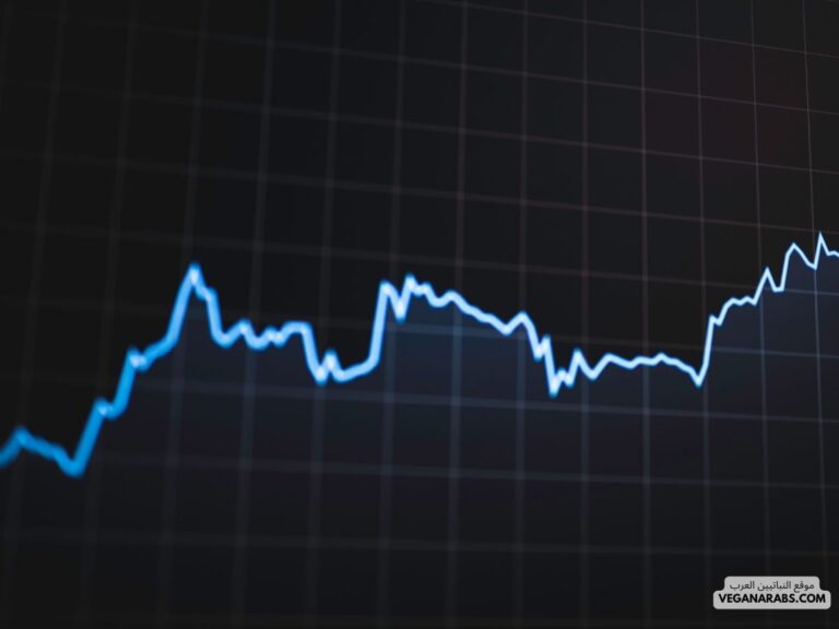 كيف تختار الأسهم القيمة؟ نصائح لتحقيق نجاح استثماري باهر!