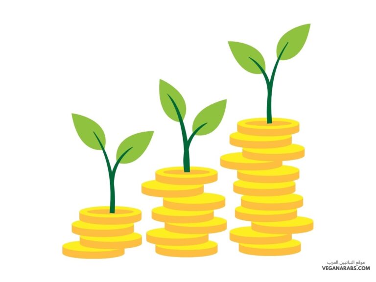 أفضل 4 استراتيجيات للاستثمار في الأسواق الناشئة والمتطورة: تحقيق النجاح والأرباح!