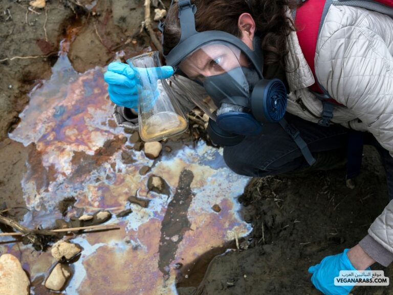 6 طرق فعّالة للوقاية من الأمراض الناجمة عن التلوث: كيف تحمي نفسك وصحتك!