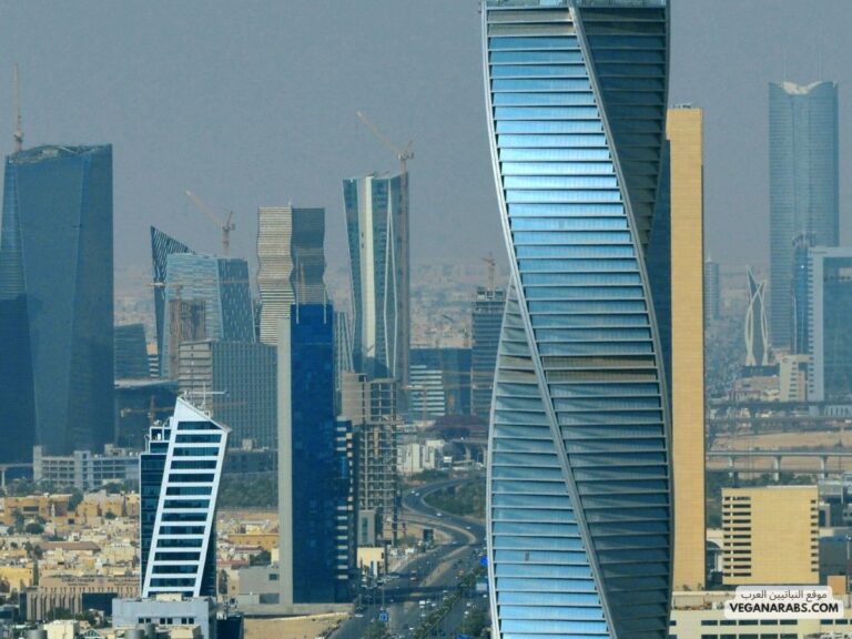 دليلك الشامل للاستثمار في السندات الحكومية والخاصة: كيفية تحقيق الأرباح!