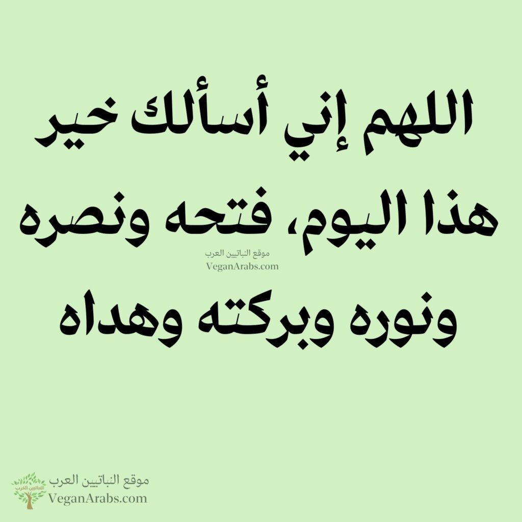 ٣٢- اللهم إني أسألك خير هذا اليوم، فتحه ونصره ونوره وبركته وهداه.