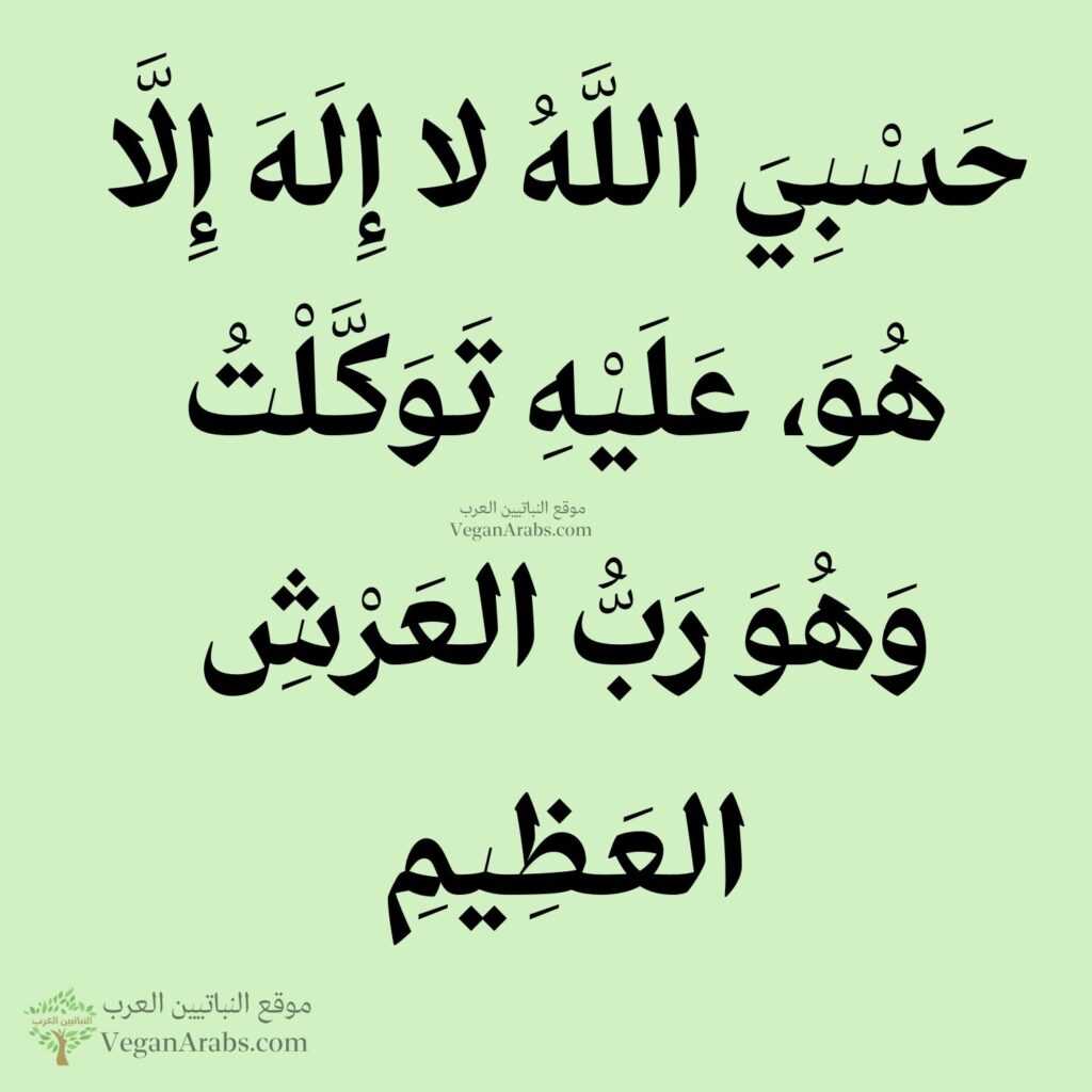 ٩- حَسْبِيَ اللَّهُ لا إِلَهَ إِلَّا هُوَ، عَلَيْهِ تَوَكَّلْتُ وَهُوَ رَبُّ العَرْشِ العَظِيمِ. 