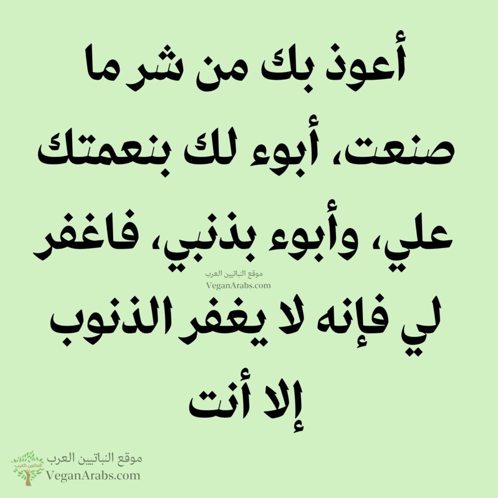 ١١- أعوذ بك من شر ما صنعت، أبوء لك بنعمتك علي، وأبوء بذنبي، فاغفر لي فإنه لا يغفر الذنوب إلا أنت.