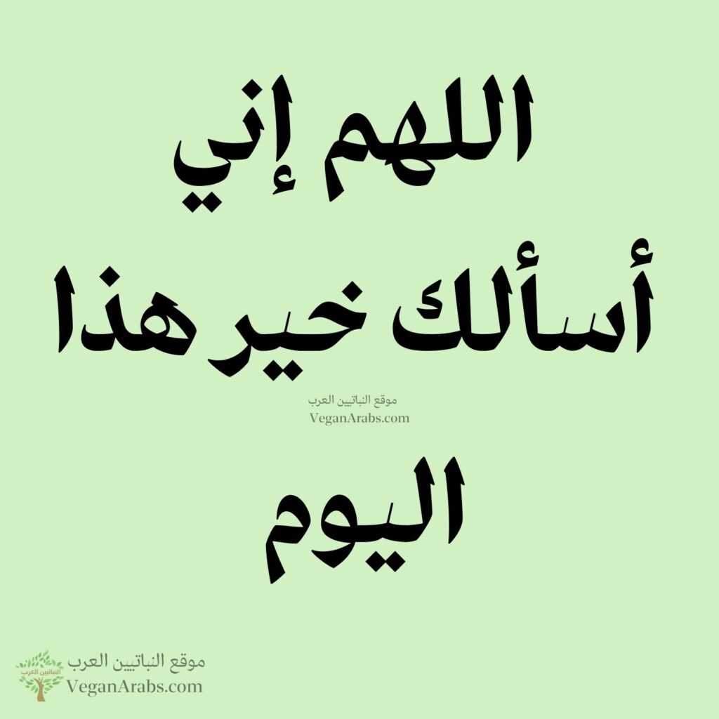 ٣٨- اللهم إني أسألك خير هذا اليوم.