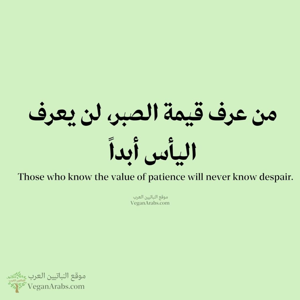 "من عرف قيمة الصبر، لن يعرف اليأس أبداً."
"Those who know the value of patience will never know despair."