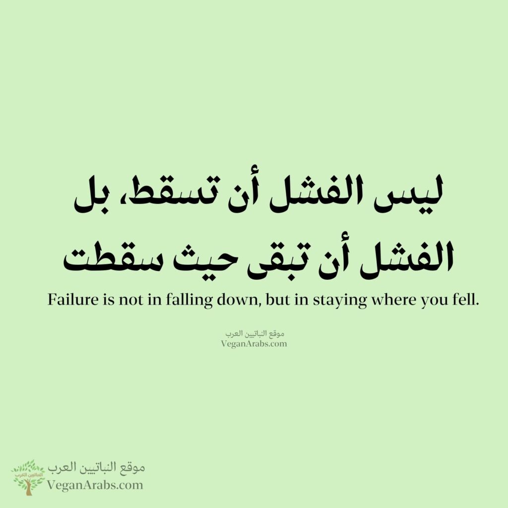 "ليس الفشل أن تسقط، بل الفشل أن تبقى حيث سقطت."
"Failure is not in falling down, but in staying where you fell."