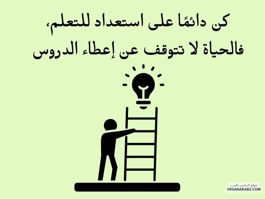 17 اقتباسًا إيجابيًا