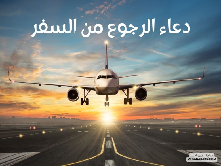 دعاء الرجوع من السفر