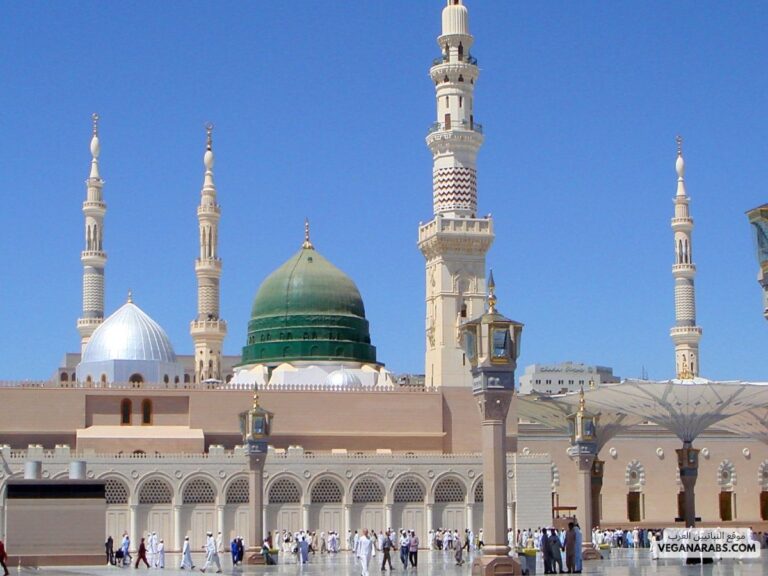 مراحل تدوين السنة النبوية: كيف تطورت عملية جمع وتوثيق أحاديث النبي محمد صلى الله عليه وسلم؟