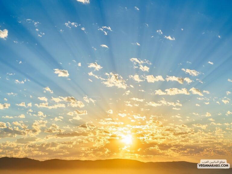 اذكار الصباح