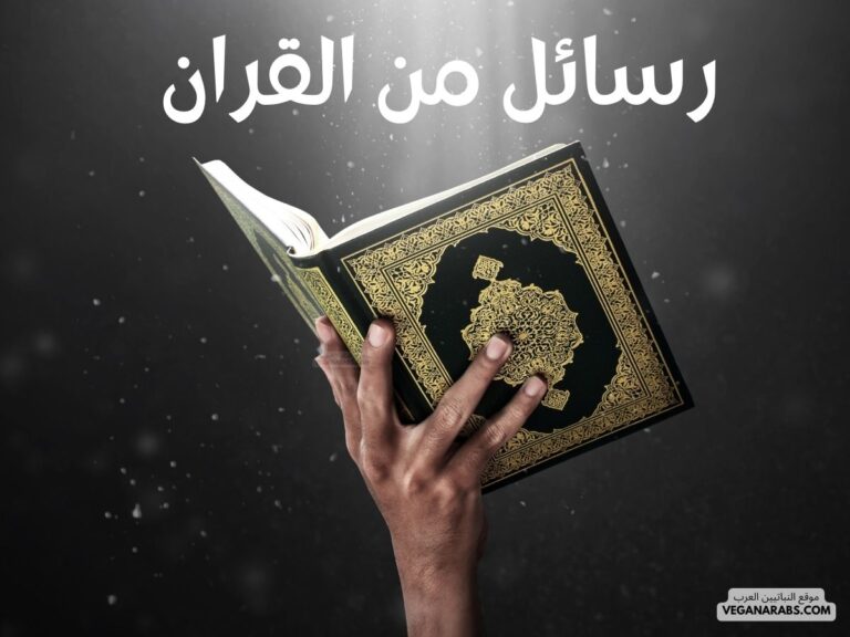 رسائل من القران