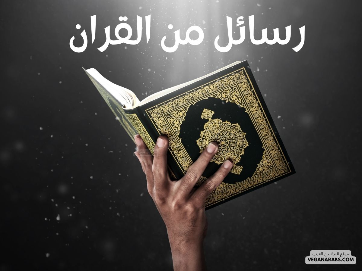 رسائل من القران