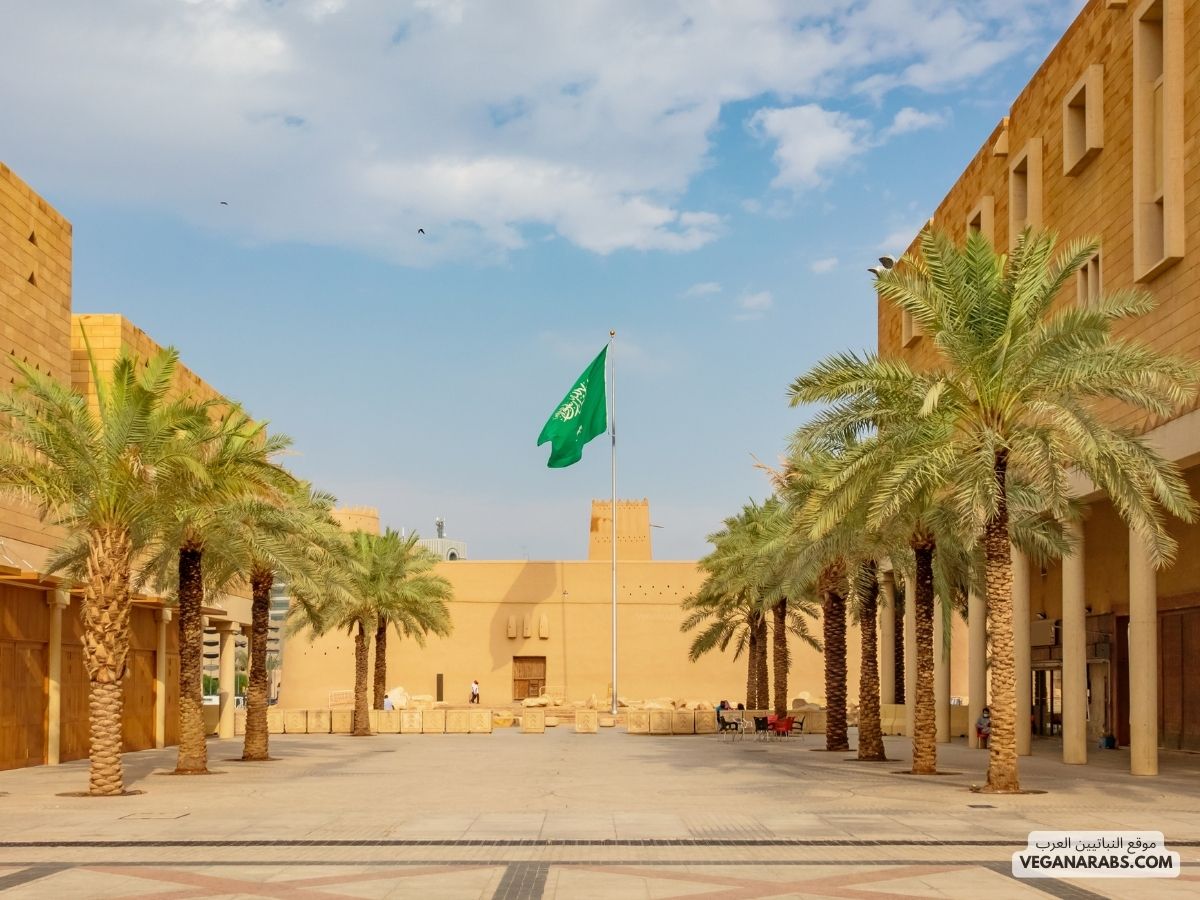 كم عدد جامعات السعودية