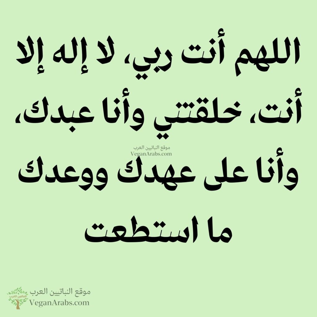 ١٠ - اللهم أنت ربي، لا إله إلا أنت، خلقتني وأنا عبدك، وأنا على عهدك ووعدك ما استطعت.