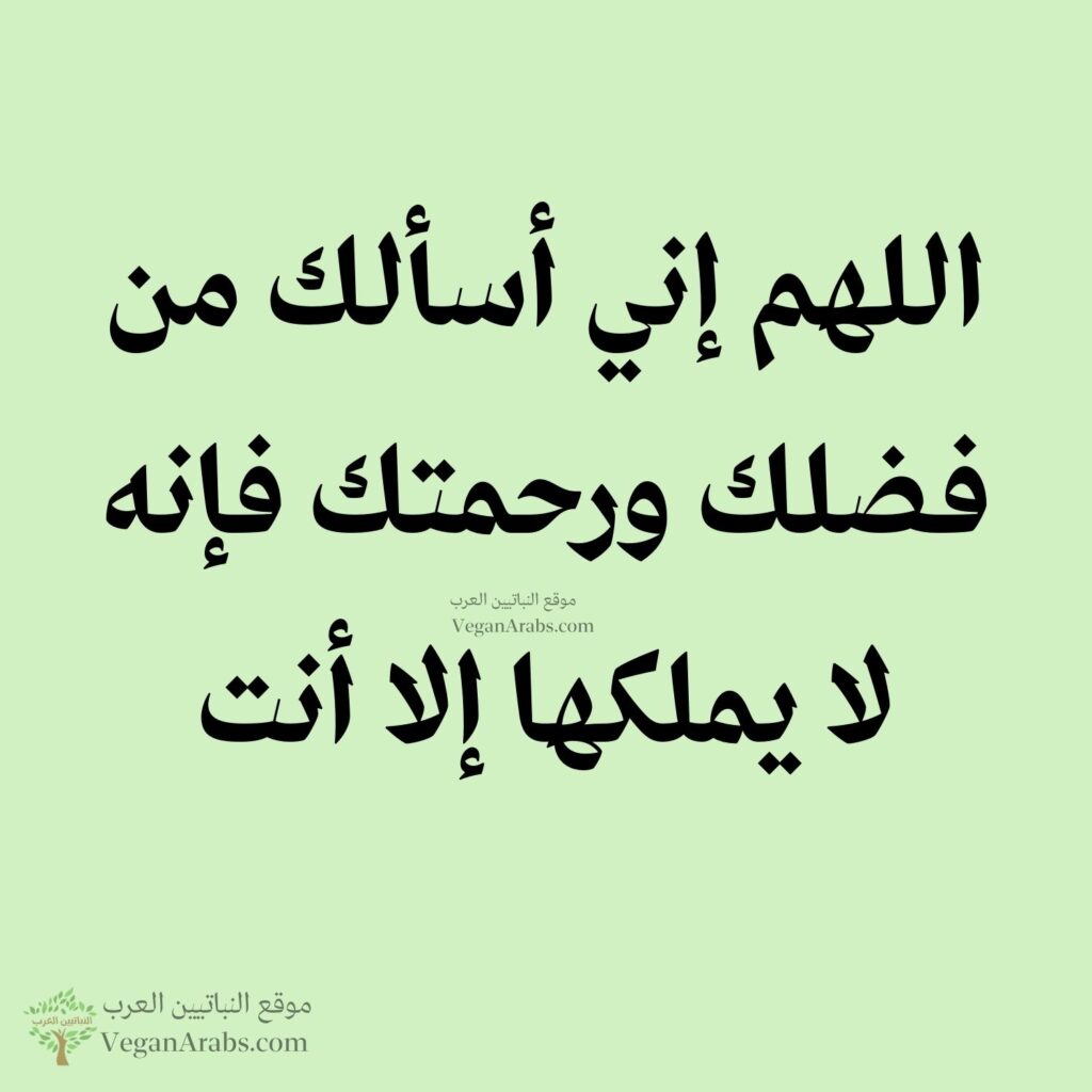 ١٦- اللهم إني أسألك من فضلك ورحمتك فإنه لا يملكها إلا أنت.