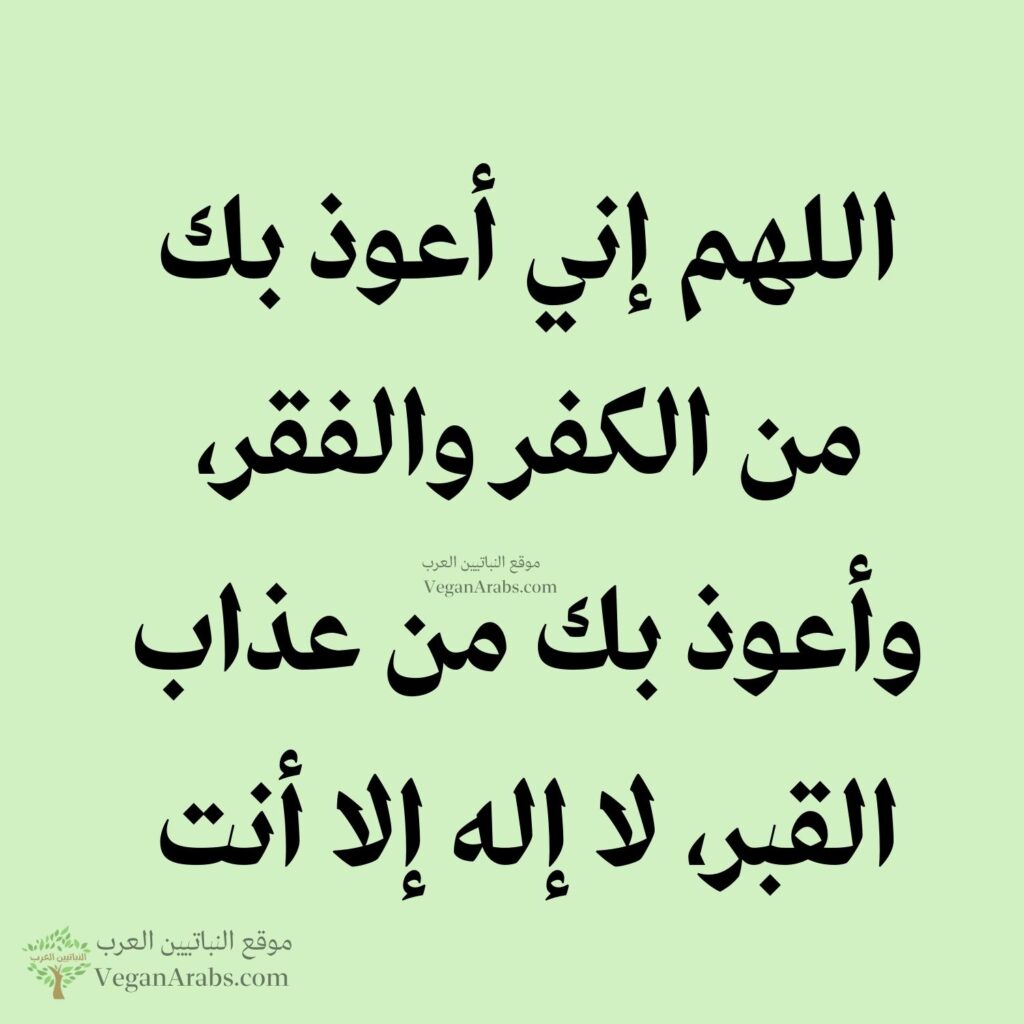 ١٧- اللهم إني أعوذ بك من الكفر والفقر، وأعوذ بك من عذاب القبر، لا إله إلا أنت.