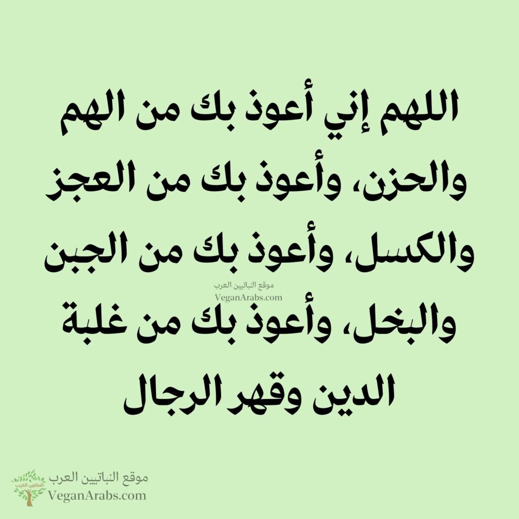 ١٩- اللهم إني أعوذ بك من الهم والحزن، وأعوذ بك من العجز والكسل، وأعوذ بك من الجبن والبخل، وأعوذ بك من غلبة الدين وقهر الرجال.