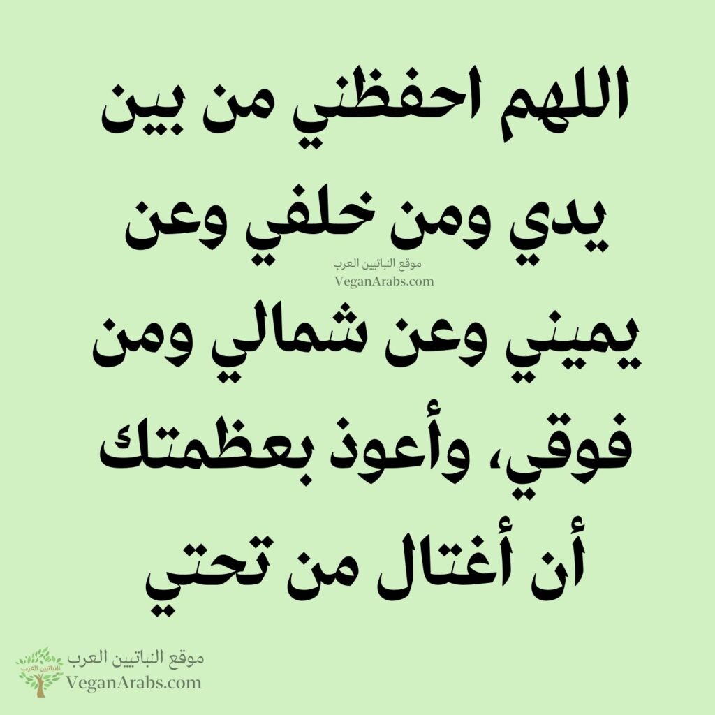 ٢٣- اللهم احفظني من بين يدي ومن خلفي وعن يميني وعن شمالي ومن فوقي، وأعوذ بعظمتك أن أغتال من تحتي.