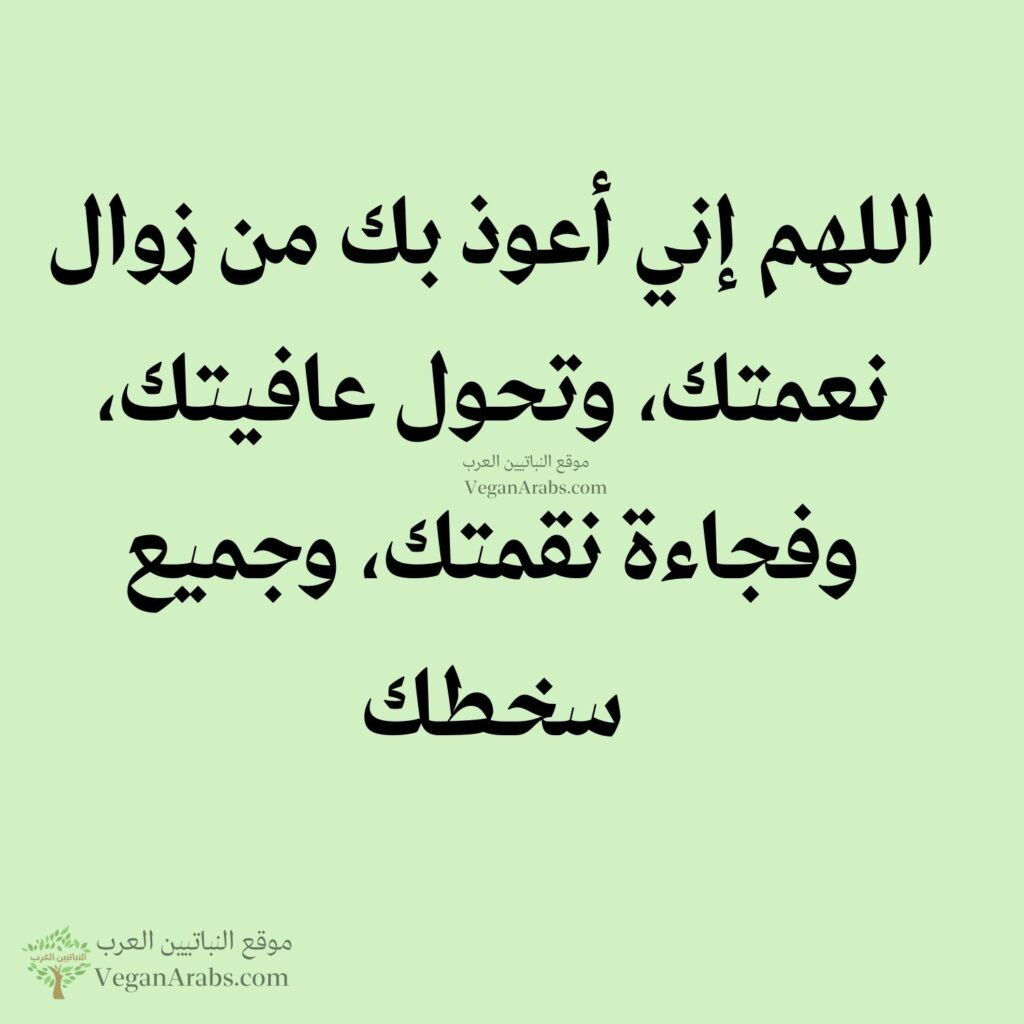 ٢٧- اللهم إني أعوذ بك من زوال نعمتك، وتحول عافيتك، وفجاءة نقمتك، وجميع سخطك.