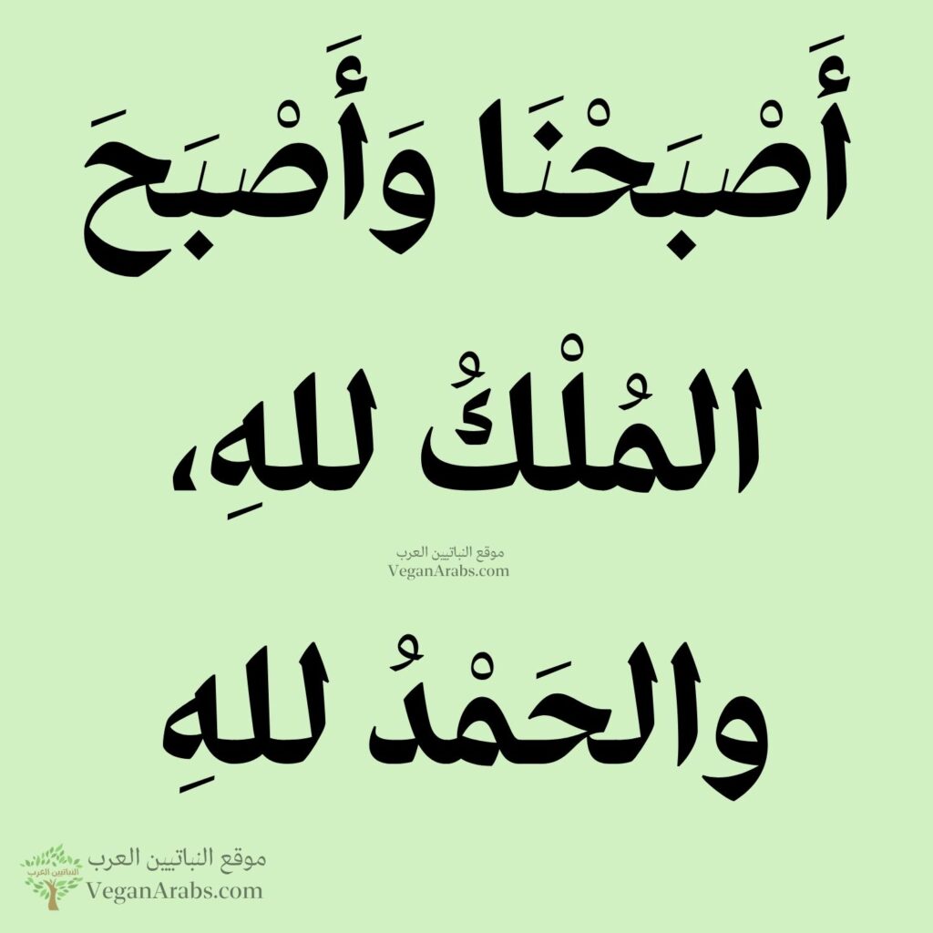 ٣- أَصْبَحْنَا وَأَصْبَحَ المُلْكُ للهِ، والحَمْدُ للهِ.