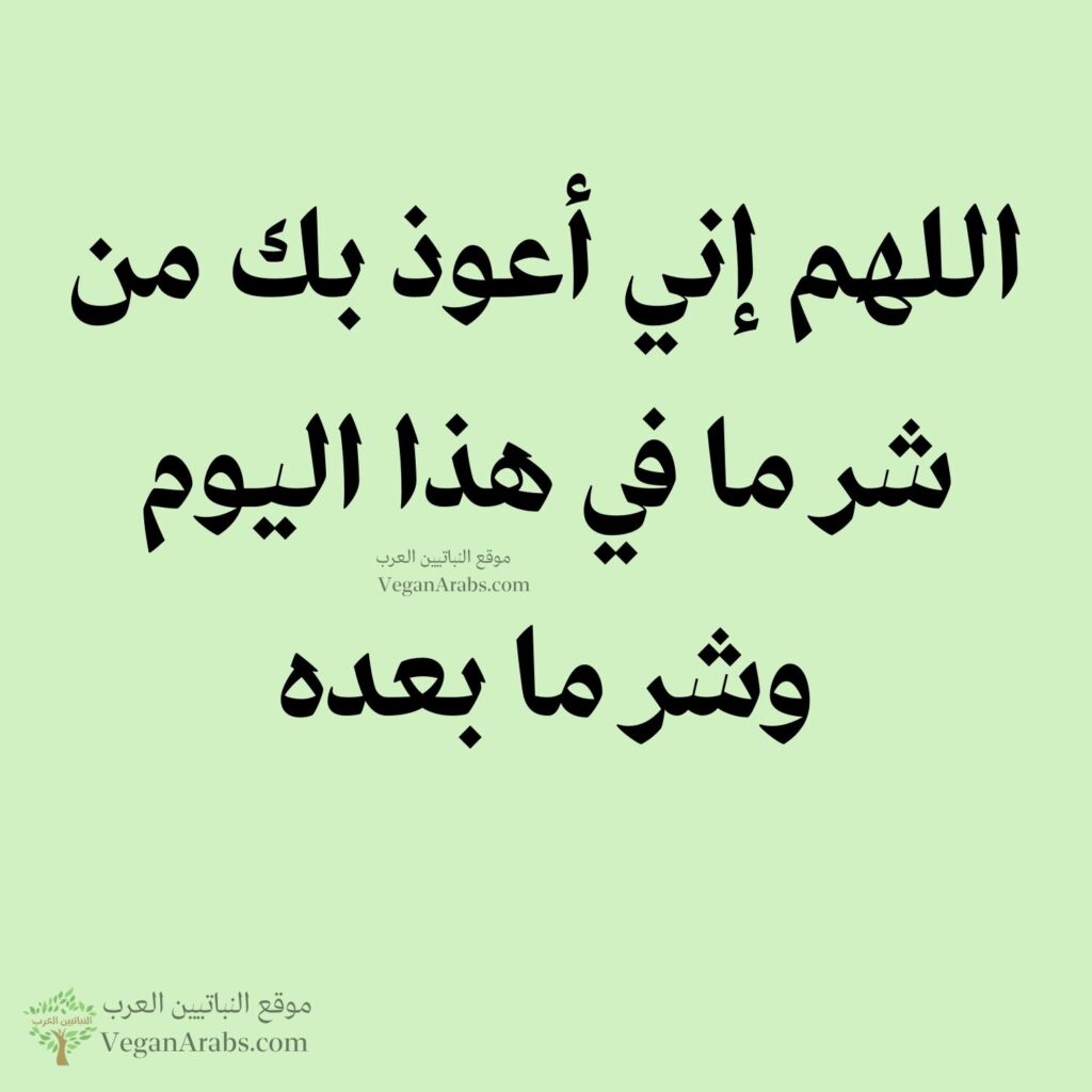 ٣٣- اللهم إني أعوذ بك من شر ما في هذا اليوم وشر ما بعده.